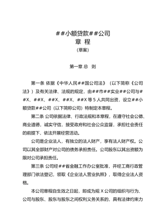 10、小额贷款有限责任公司章程草案