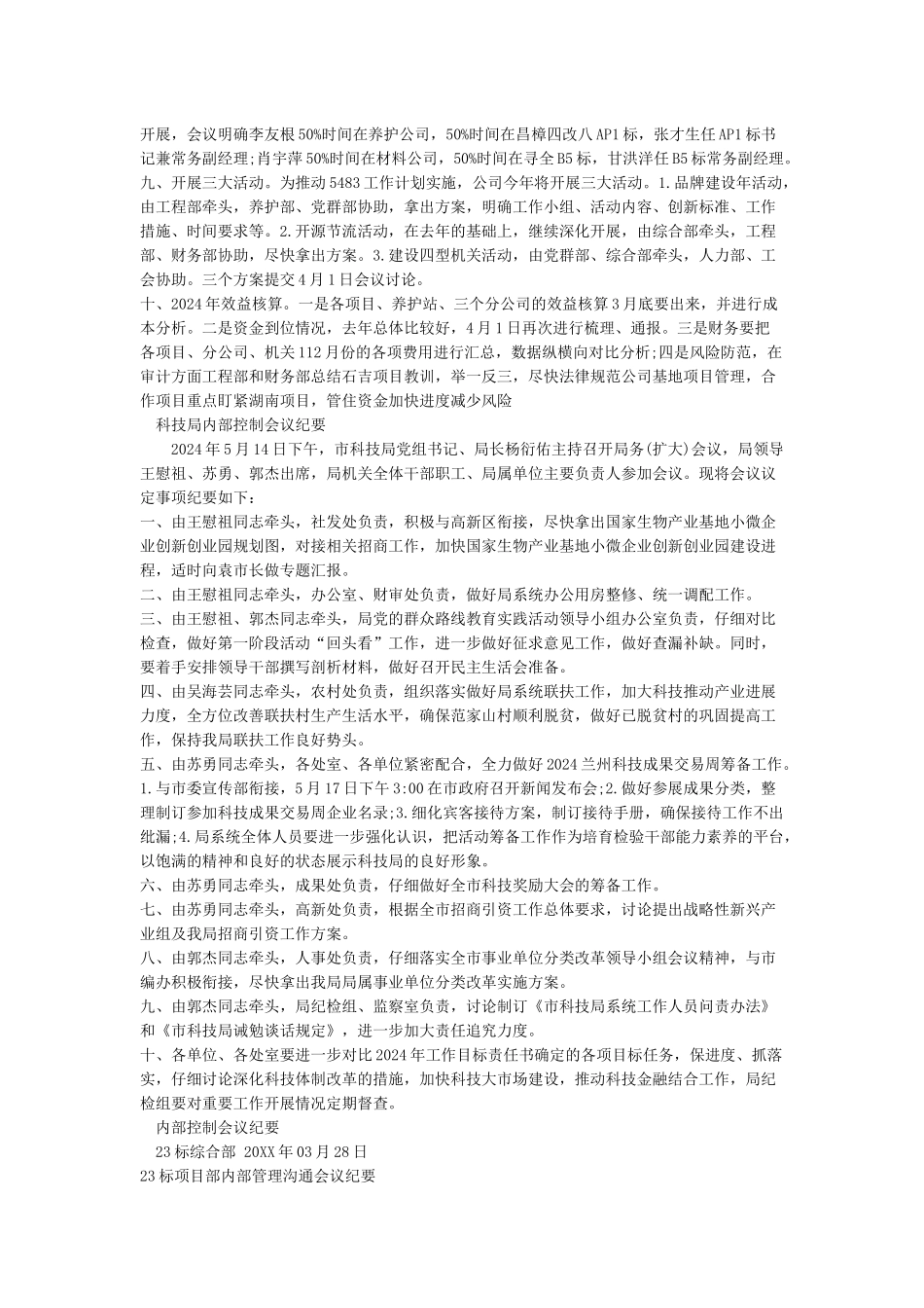 12内部控制领导小组会议纪要_第2页