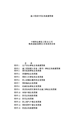 16个专项应急救援预案