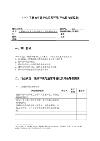 2-1-0风险评估工作底稿——了解被审计单位及其环境