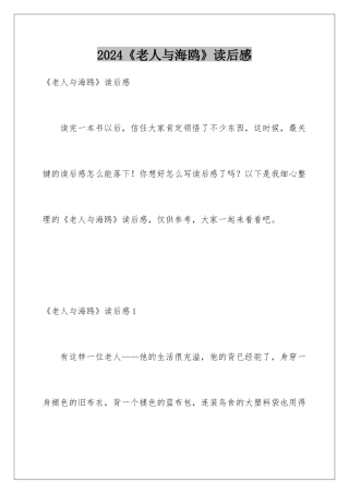 2024《老人与海鸥》读后感