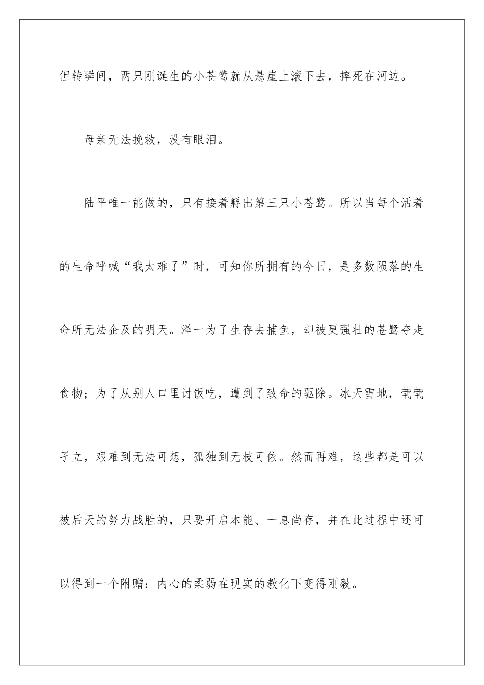 2024《鹭世界》观后感_第3页