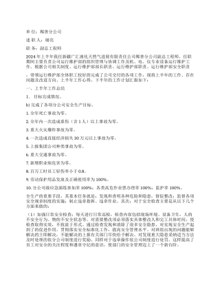 2024上半年股份公司高级员工述职报告范文