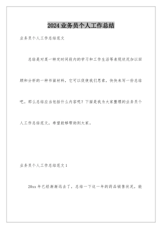 2024业务员个人工作总结