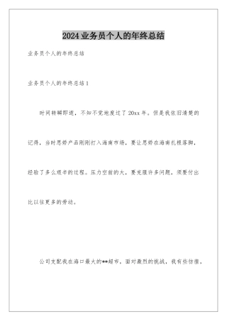 2024业务员个人的年终总结