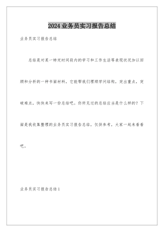 2024业务员实习报告总结