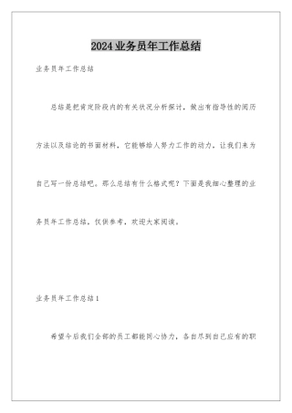 2024业务员年工作总结