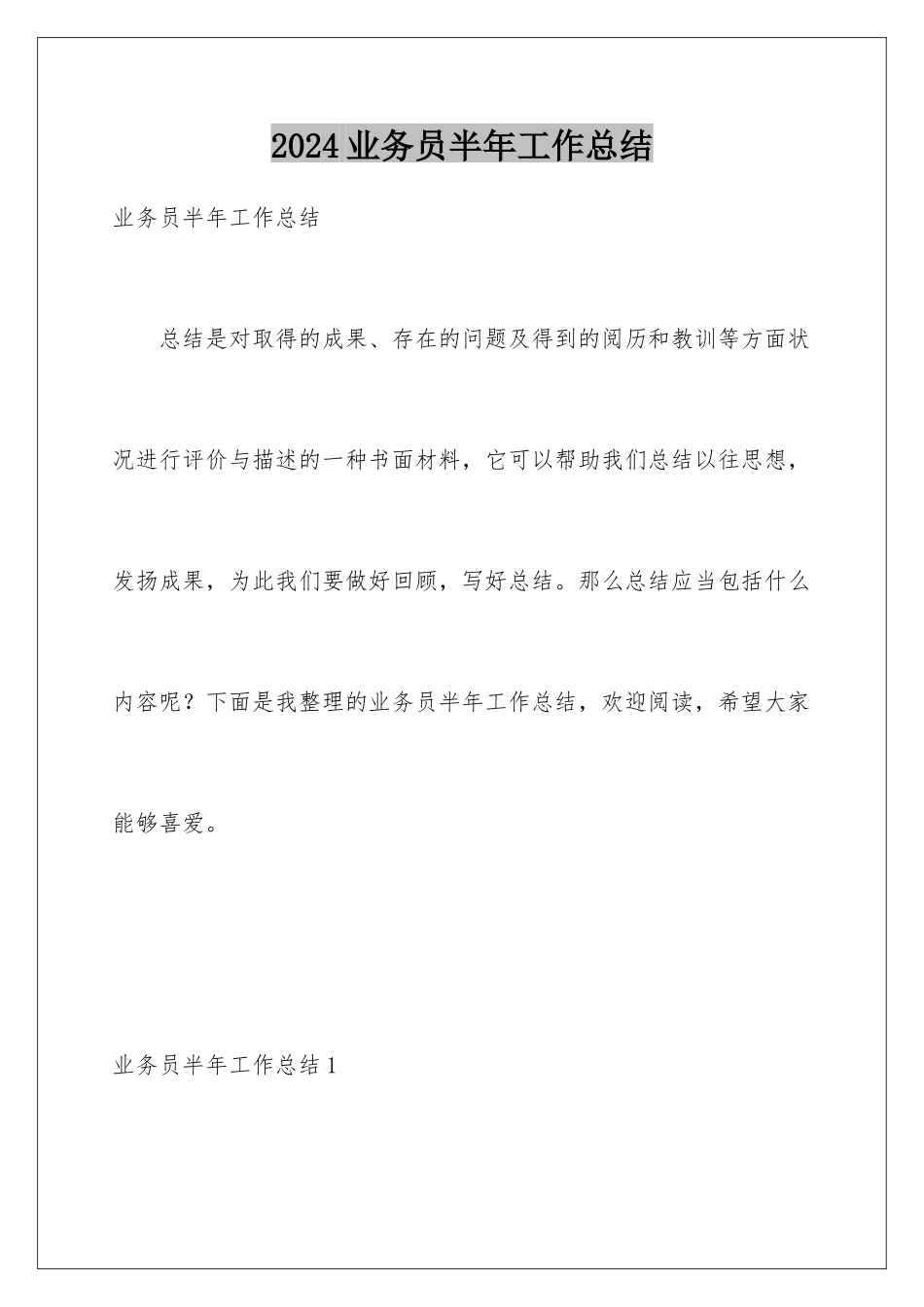 2024业务员半年工作总结_第1页