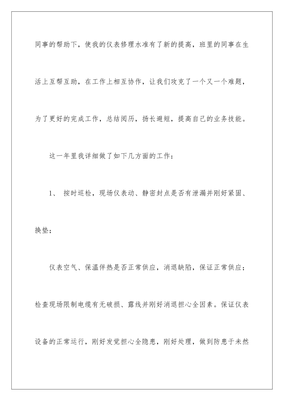 2024仪表年终总结_第2页