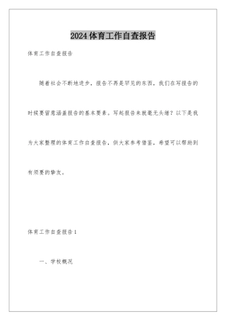 2024体育工作自查报告
