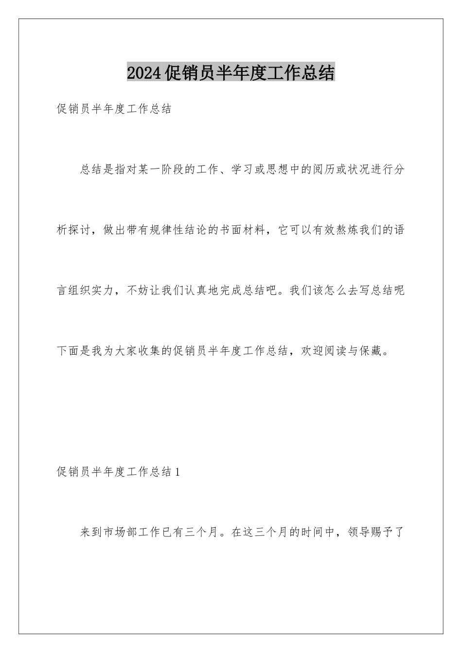 2024促销员半年度工作总结_第1页