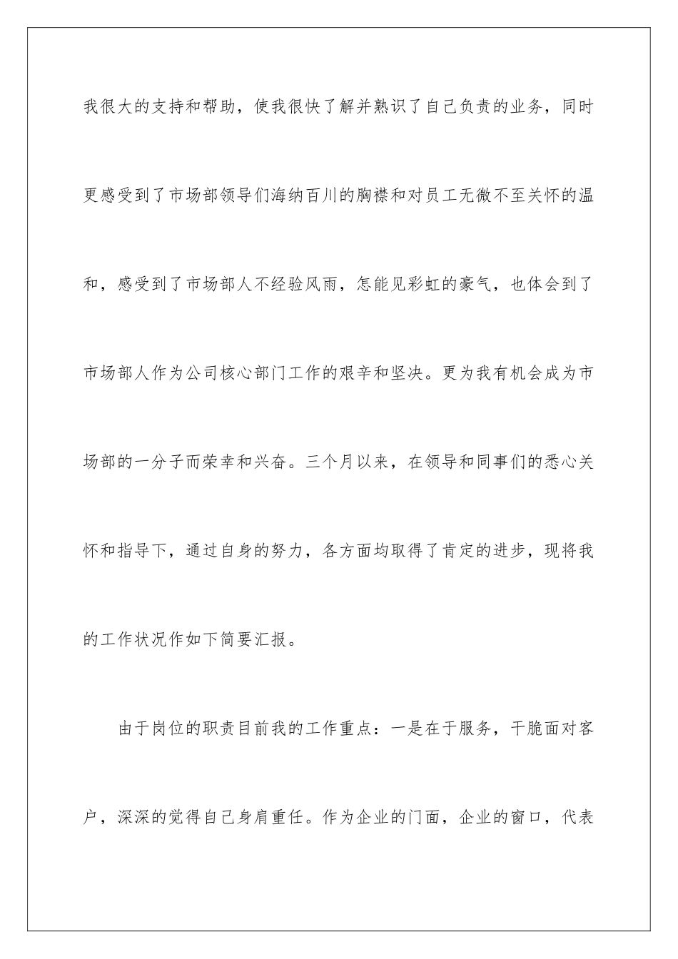 2024促销员半年度工作总结_第2页