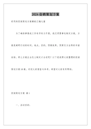 2024促销策划方案