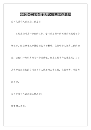 2024公司文员个人试用期工作总结