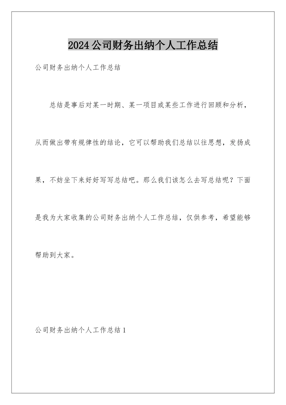 2024公司财务出纳个人工作总结_第1页