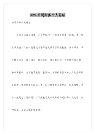2024公司财务个人总结