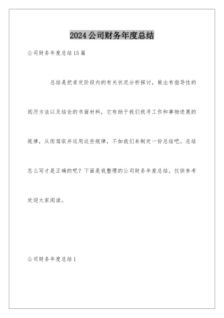 2024公司财务年度总结