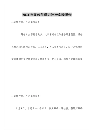 2024公司软件学习社会实践报告