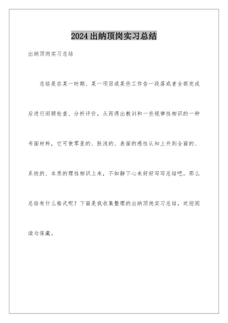 2024出纳顶岗实习总结