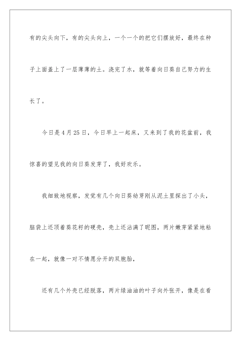 2024向日葵种植日记_第2页