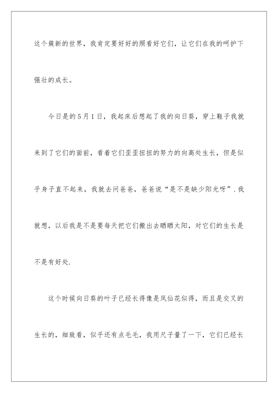 2024向日葵种植日记_第3页