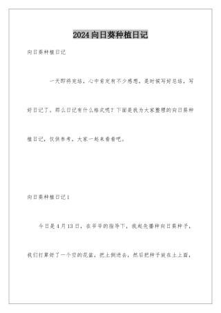 2024向日葵种植日记