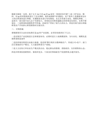 2024基层干部“三进三同调研报告