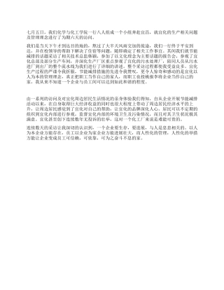 2024大学生暑期社会实践个人总结