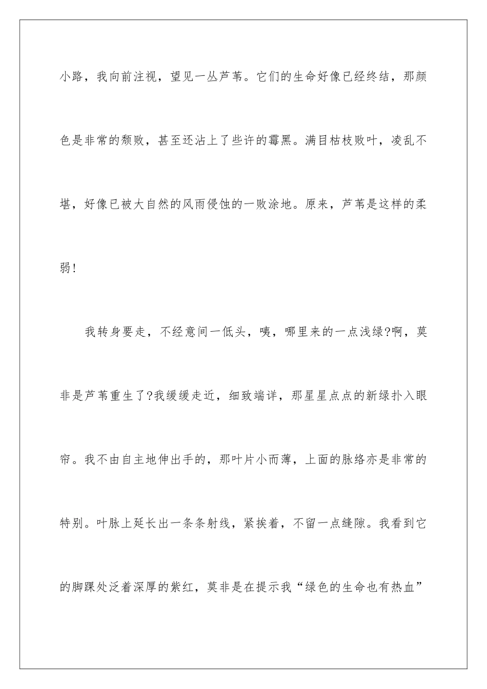 2024大自然的启示_第2页