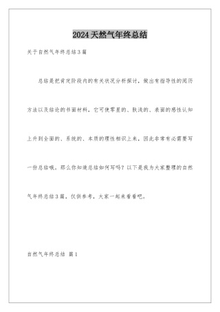 2024天然气年终总结