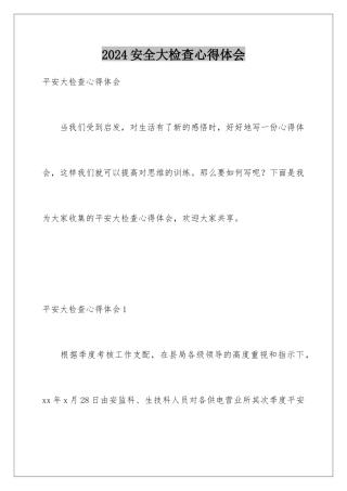 2024安全大检查心得体会