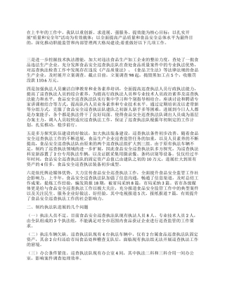 2024年上半年工作总结-食品安全巡查执法队