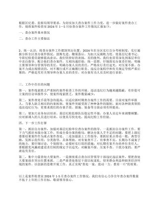 2024年上半年案件检查工作总结