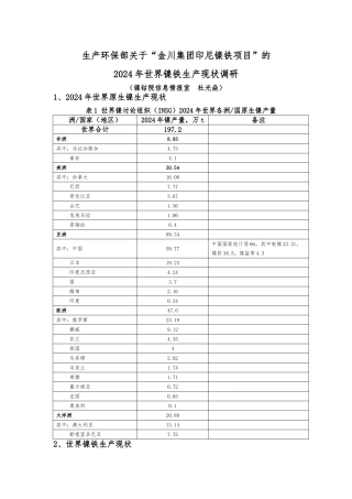 2024年世界镍铁行业调研