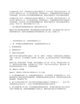 2024年乡财政所财物工作总结