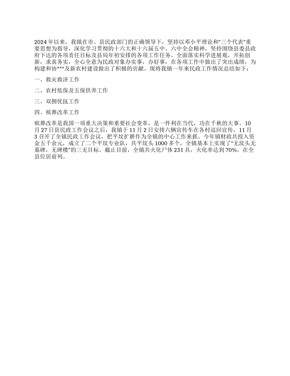 2024年乡镇民政工作总结_第1页