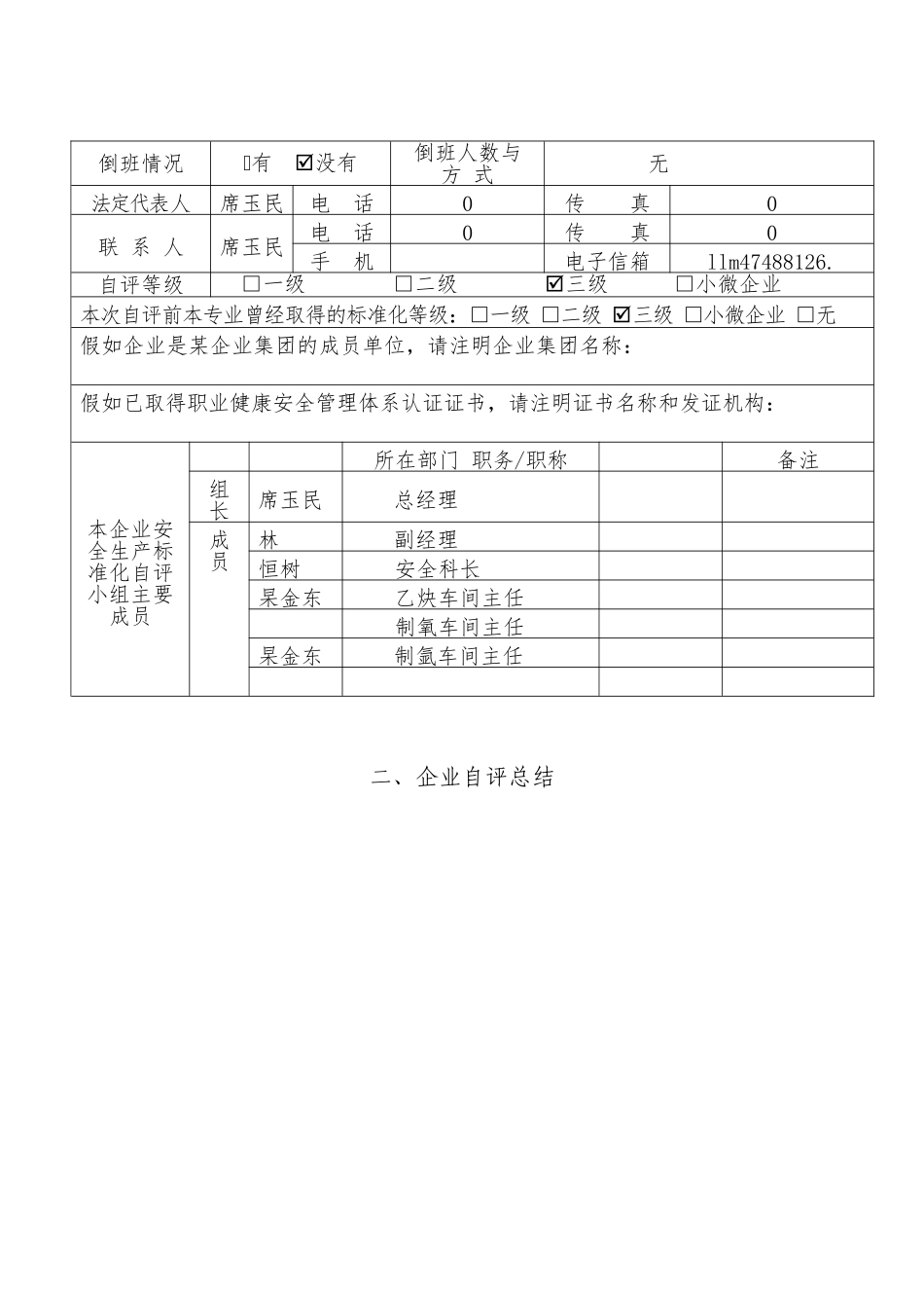 2024年企业安全生产标准化自评报告表格模板_第2页