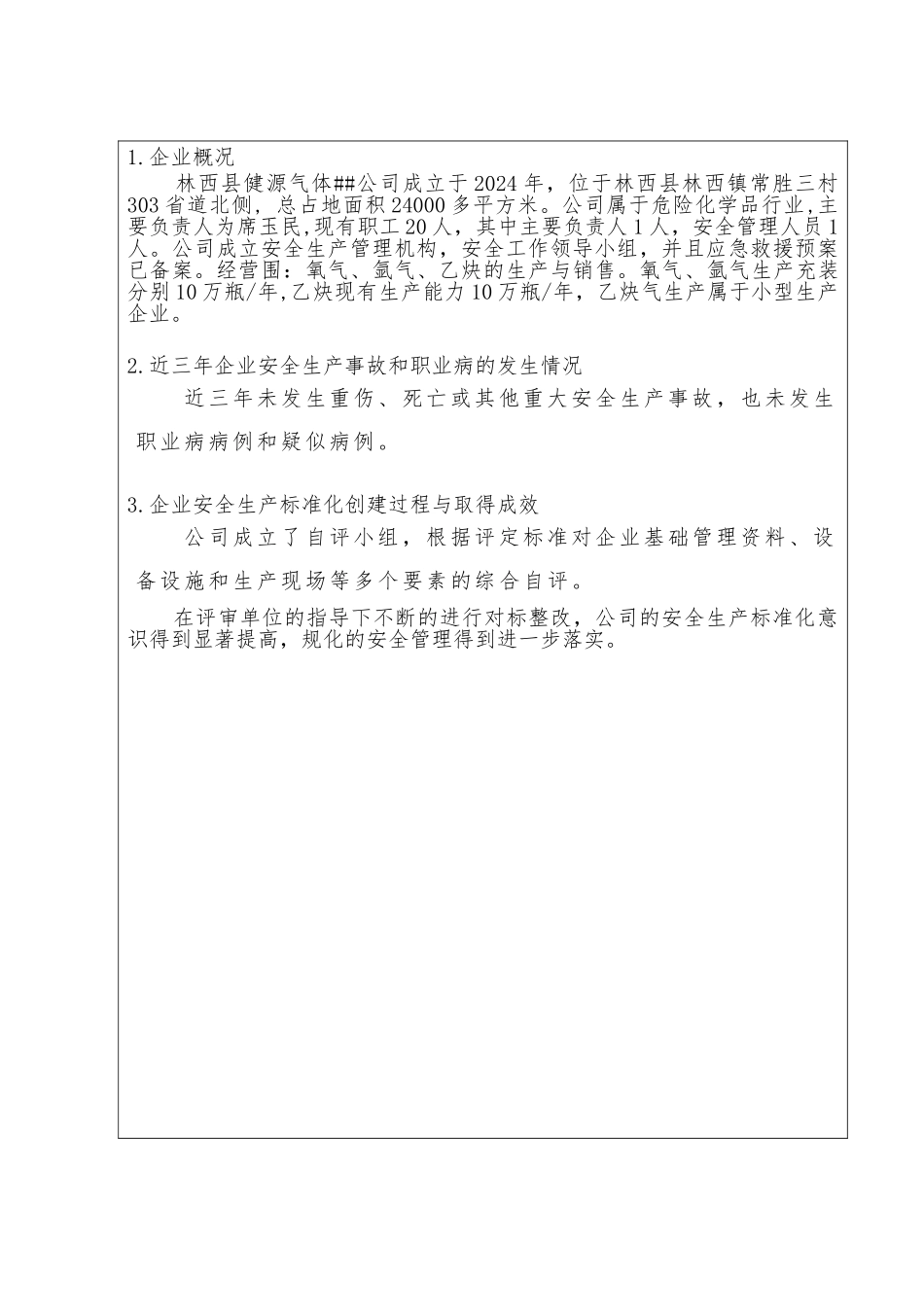 2024年企业安全生产标准化自评报告表格模板_第3页