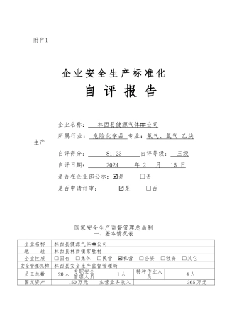 2024年企业安全生产标准化自评报告表格模板