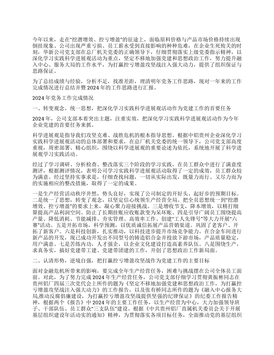 2024年党务工作总结_第1页