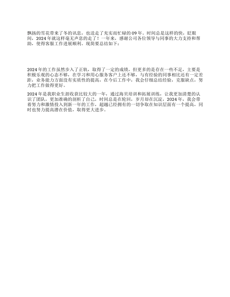 2024年公司客服工作总结_第1页