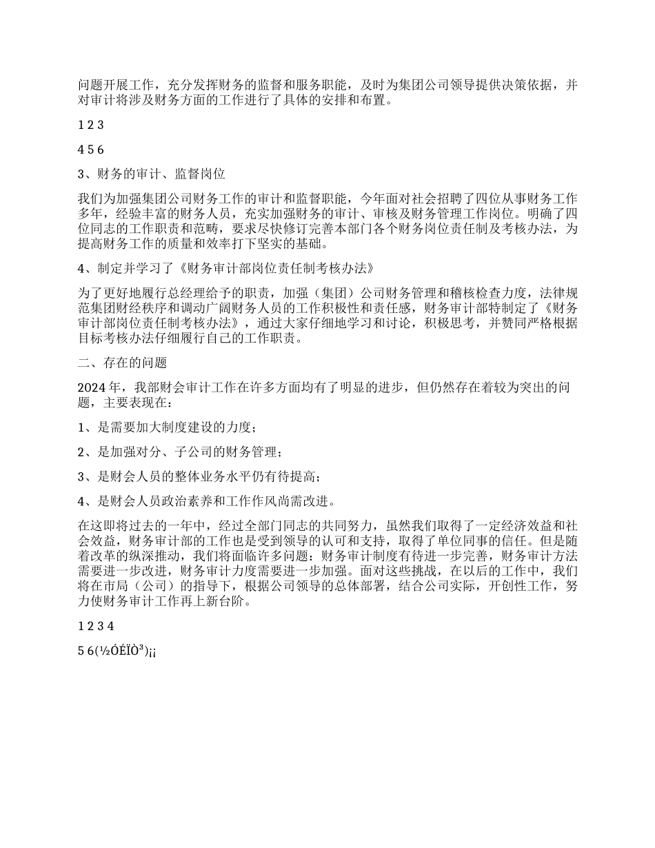 2024年公司财务审计工作总结_第3页