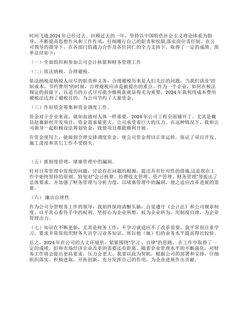 2024年公司财务工作总结_第1页