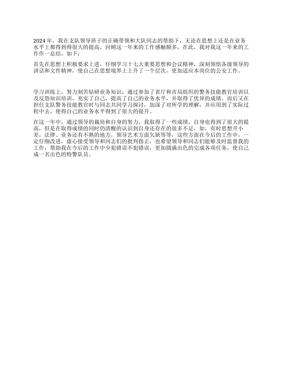 2024年公安特警个人年终总结_第1页