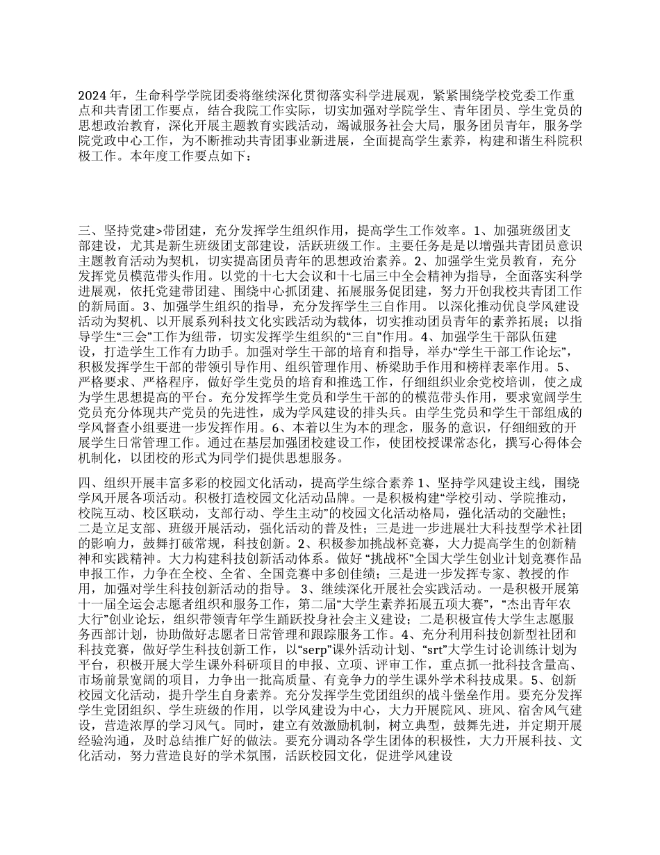 2024年共青团工作计划_第1页
