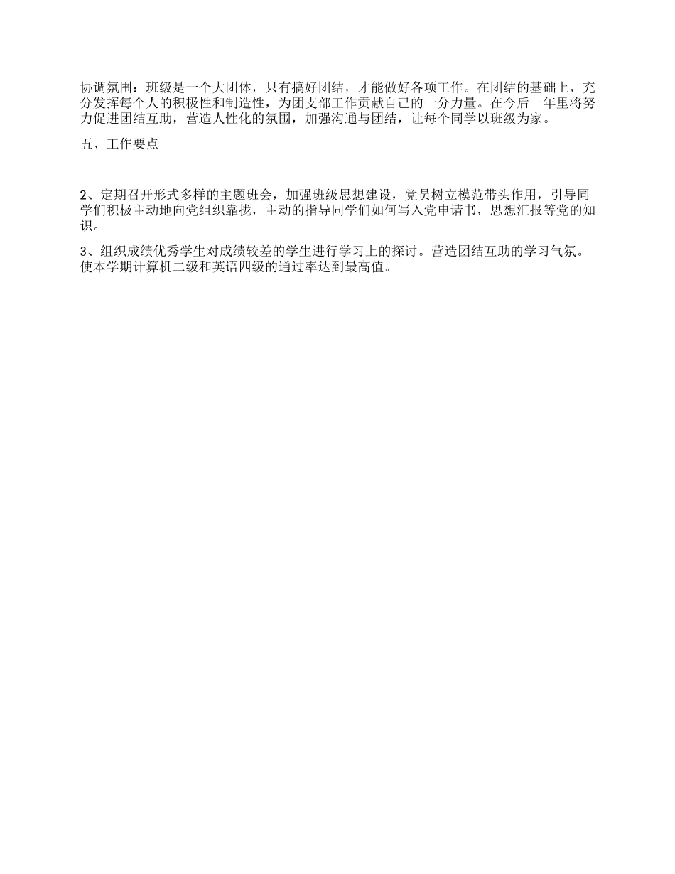 2024年团支部工作计划_第2页