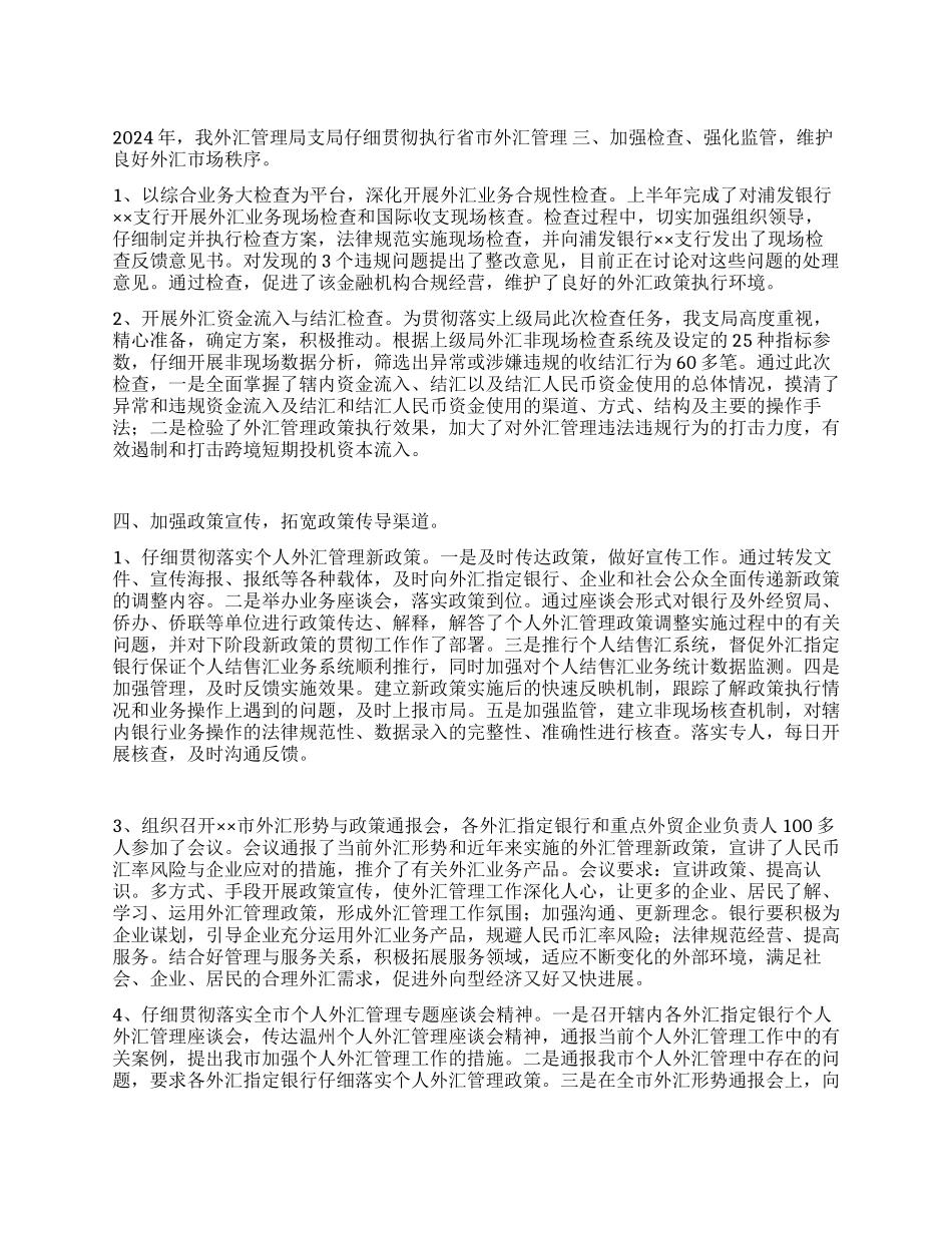 2024年外汇管理工作总结_第1页