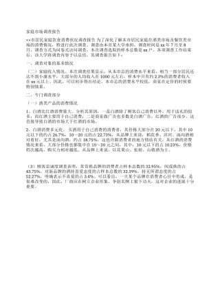 2024年大学生暑假市场调查报告