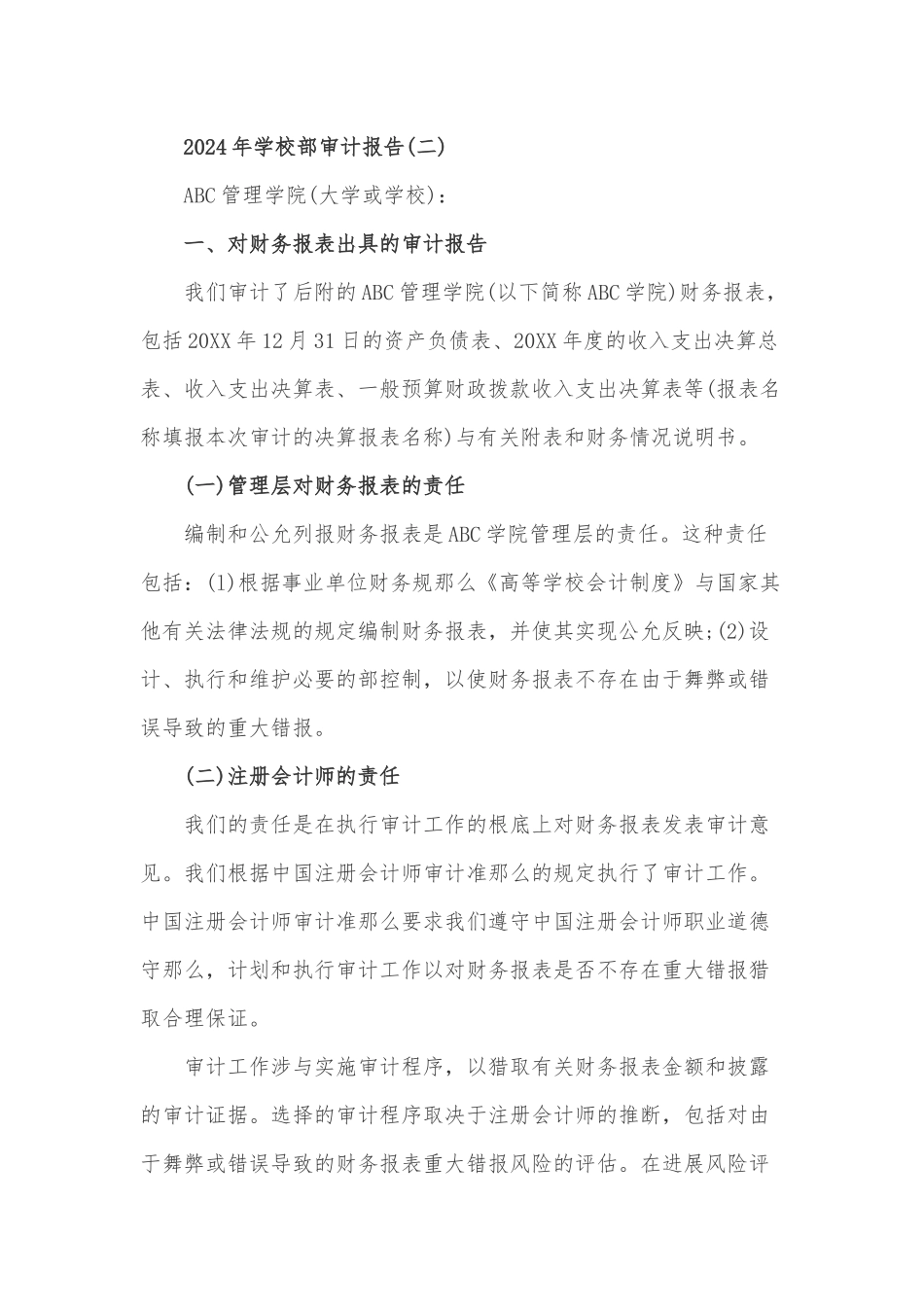 2024年学校内部审计报告_第2页