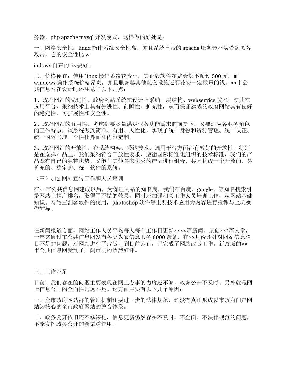 2024年市政府网站建设工作总结_第2页